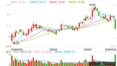 云台相机正式发布：2026展望，惊喜新体验即将揭晓
